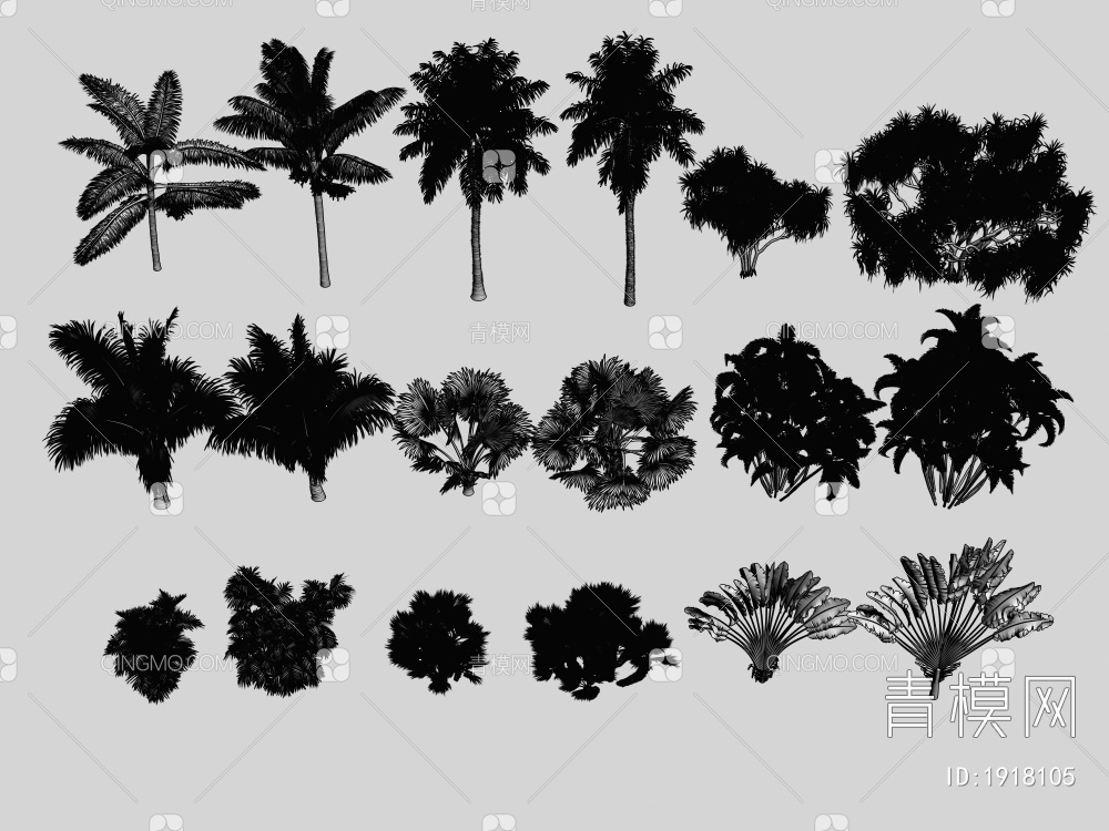 棕榈植物3D模型下载【ID:1918105】