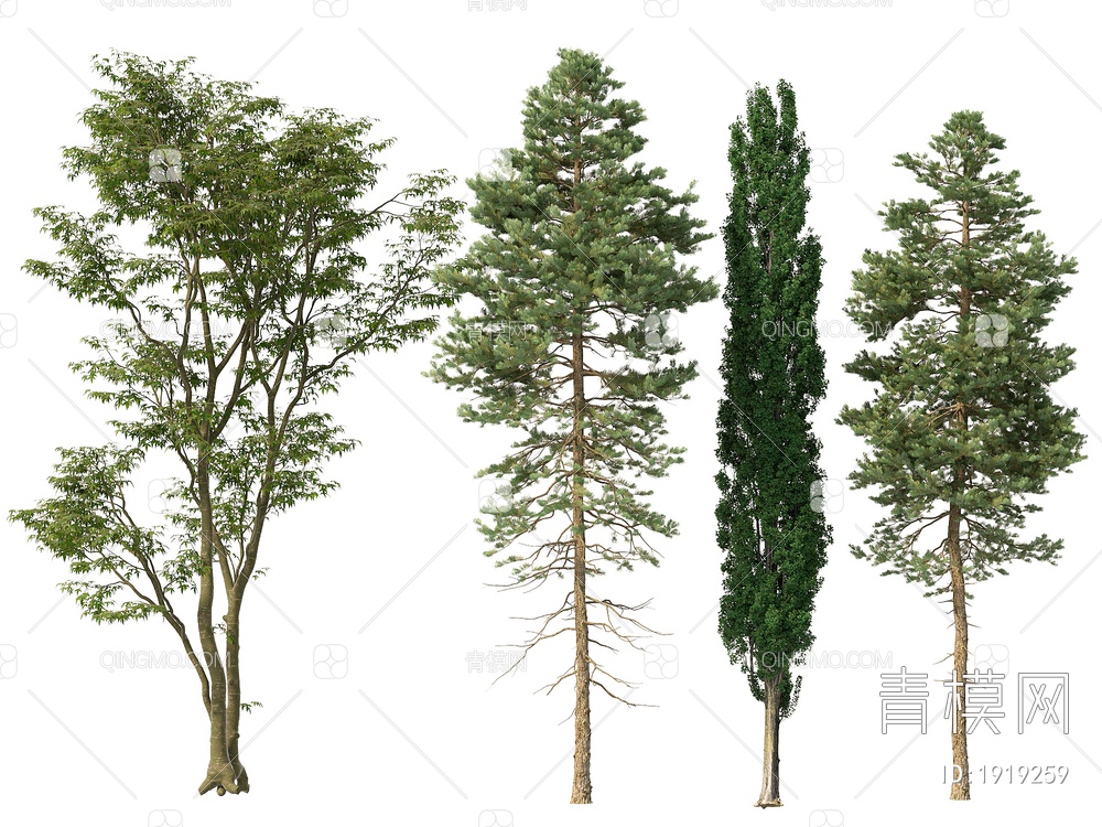 树 乔木 树木 景观树 庭院树 行道树 绿植3D模型下载【ID:1919259】