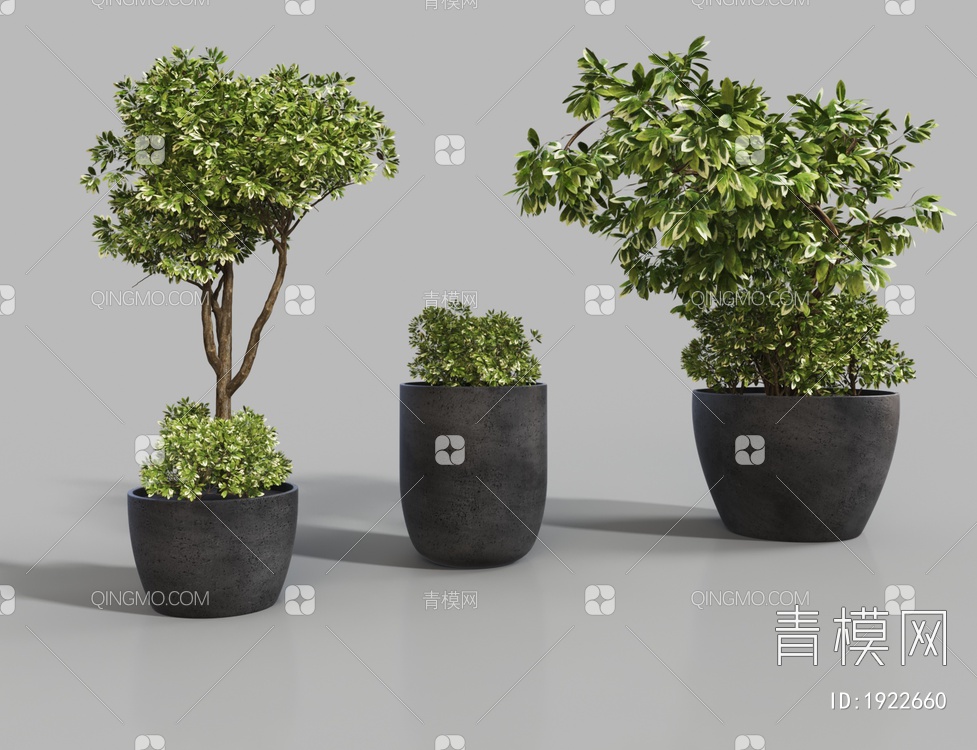 绿植盆栽3D模型下载【ID:1922660】