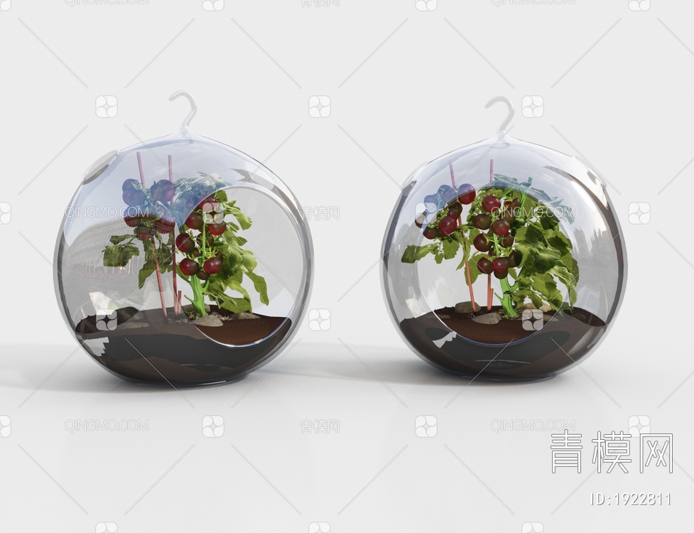 番茄 蔬菜 玻璃盆栽 景观造景3D模型下载【ID:1922811】
