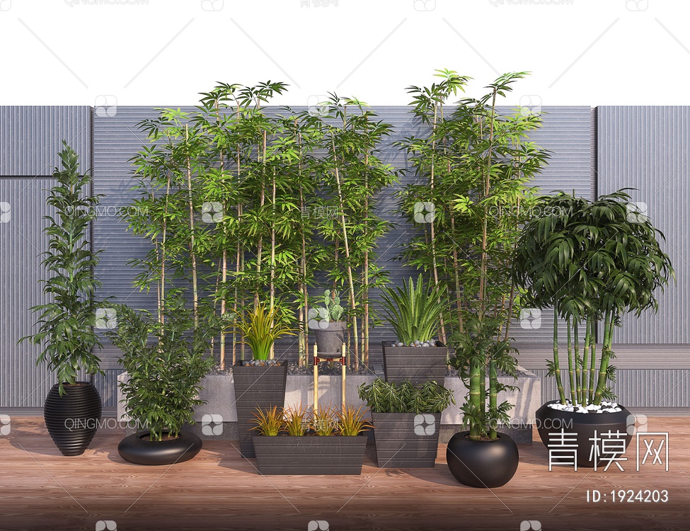 景观植物，盆栽植物，竹子，景观竹，罗汉竹，翠竹，园林小品3D模型下载【ID:1924203】