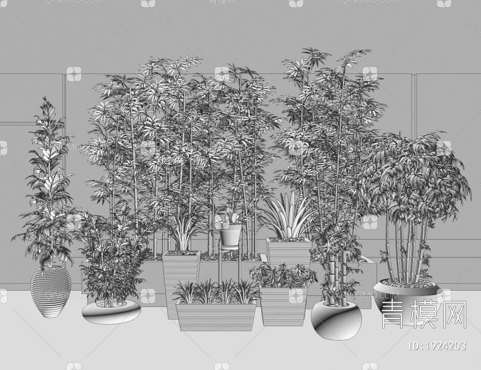 景观植物，盆栽植物，竹子，景观竹，罗汉竹，翠竹，园林小品3D模型下载【ID:1924203】