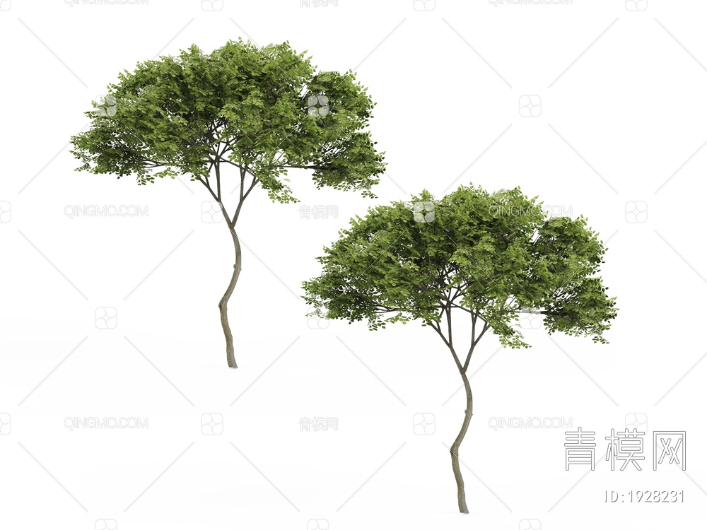 绿色植物 植物树3D模型下载【ID:1928231】