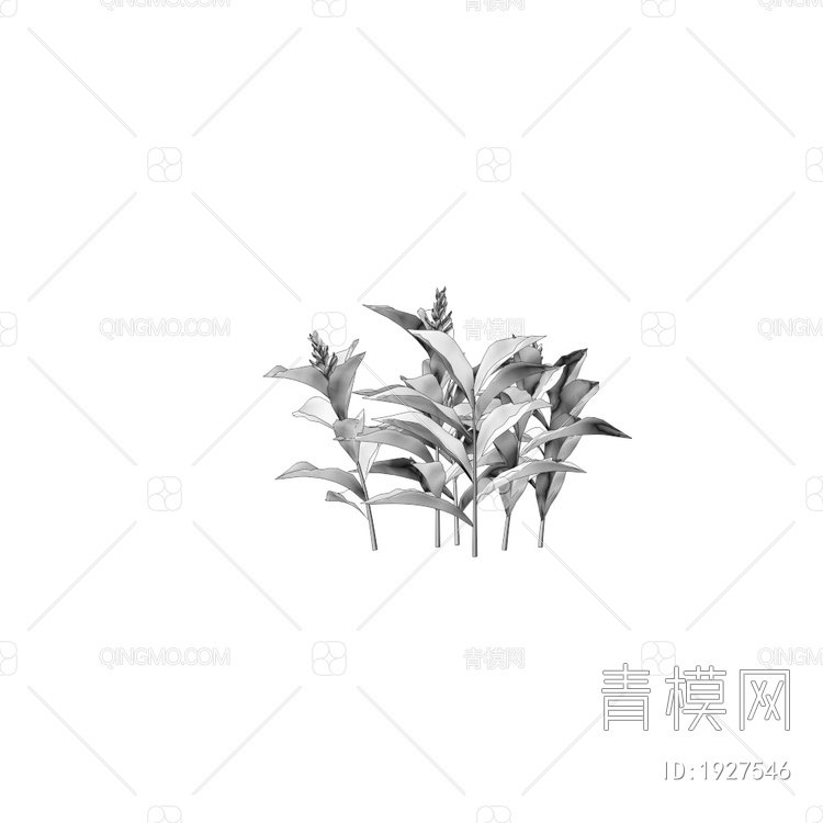 Alpinia 庭院花坛绿植3D模型下载【ID:1927546】