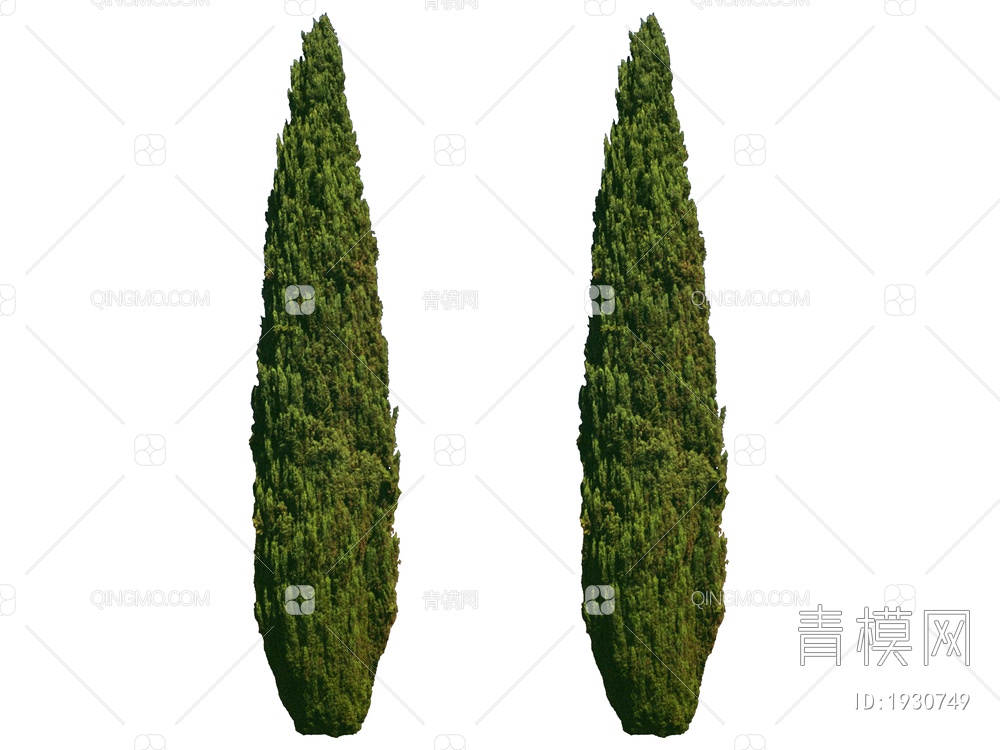 绿色植物 植物树SU模型下载【ID:1930749】