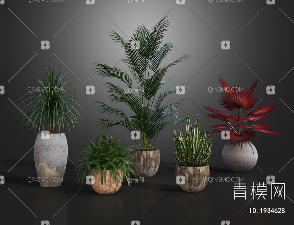 绿植盆栽 盆景3D模型下载【ID:1934628】