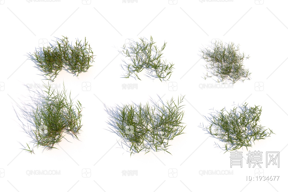 草，草坪，草地植物3D模型下载【ID:1934677】