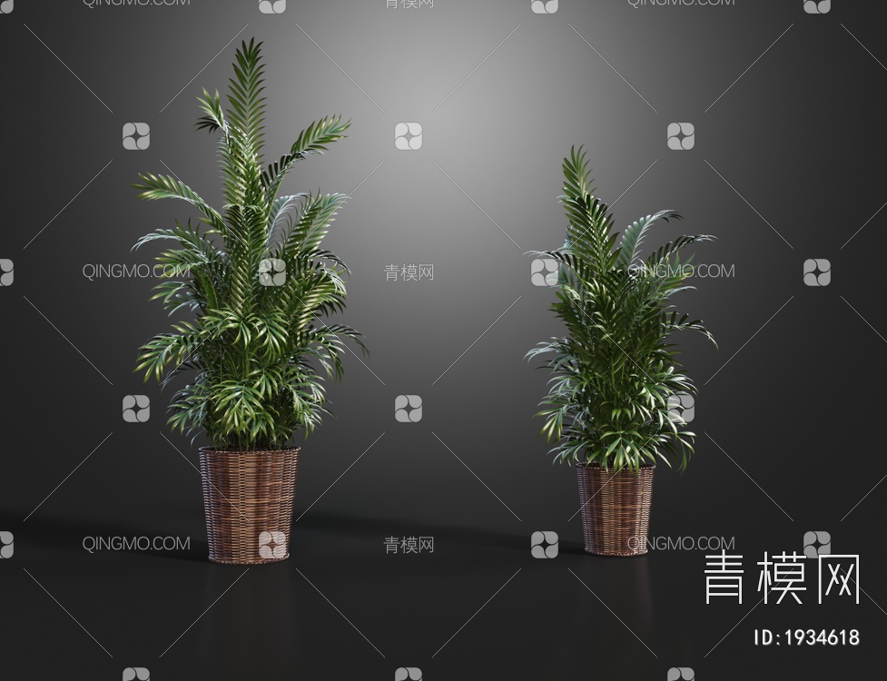 植物盆栽3D模型下载【ID:1934618】