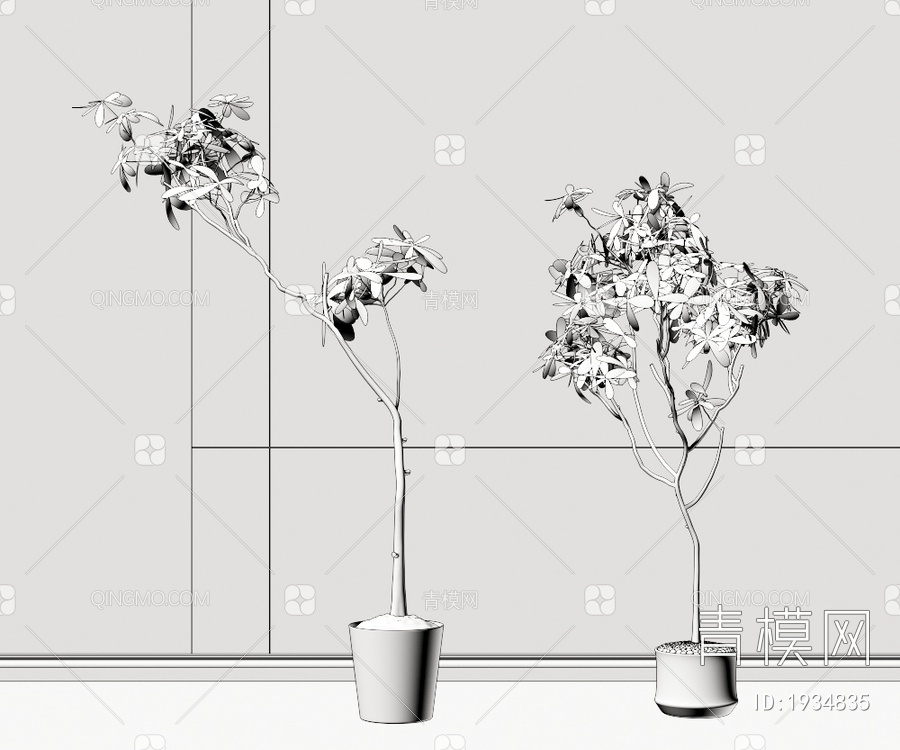 植物 盆栽3D模型下载【ID:1934835】