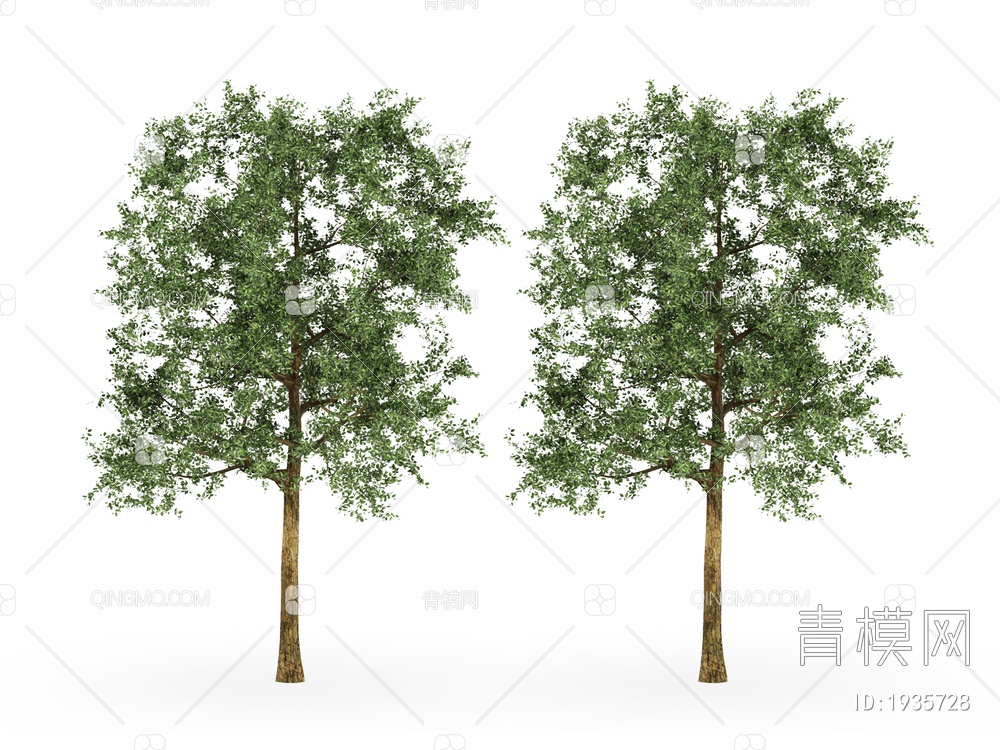 绿色植物 植物树3D模型下载【ID:1935728】