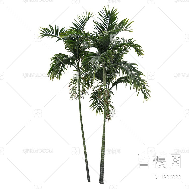 椰树3D模型下载【ID:1936383】
