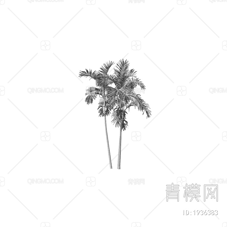 椰树3D模型下载【ID:1936383】