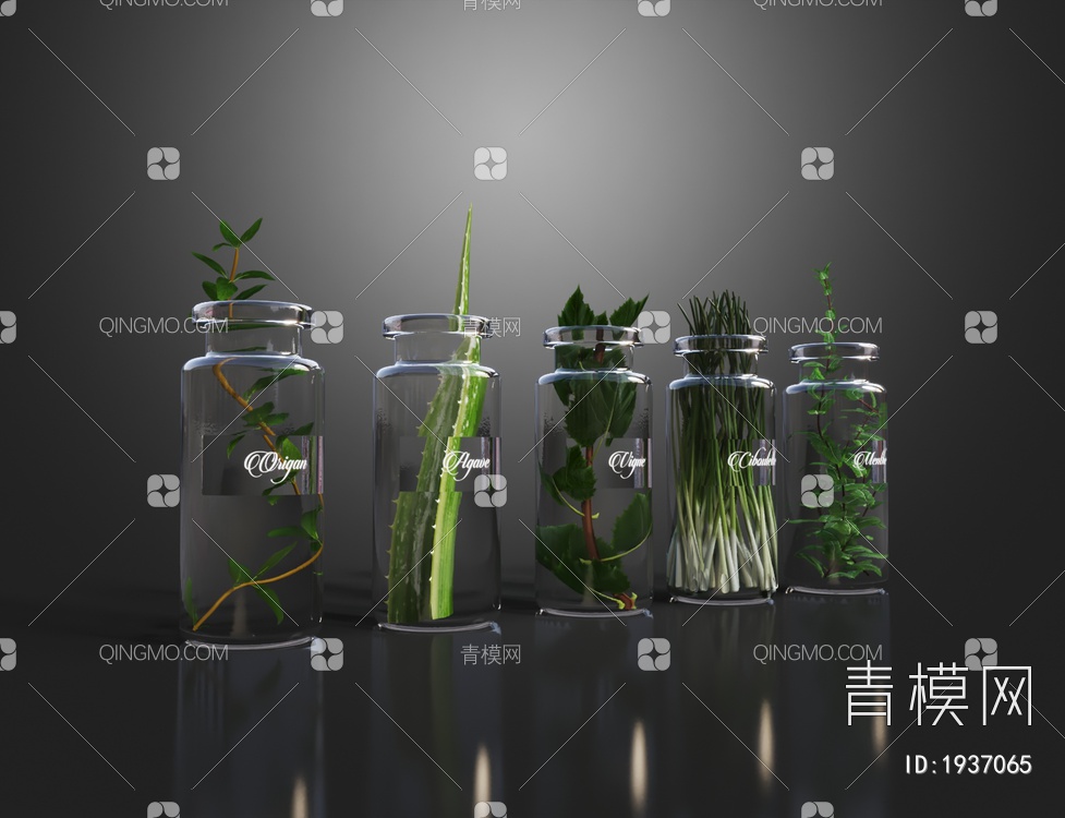 玻璃水生绿植 盆栽 花瓶3D模型下载【ID:1937065】