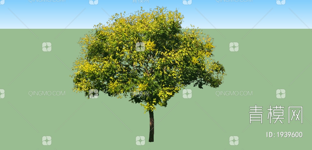 绿色植物 植物树SU模型下载【ID:1939600】