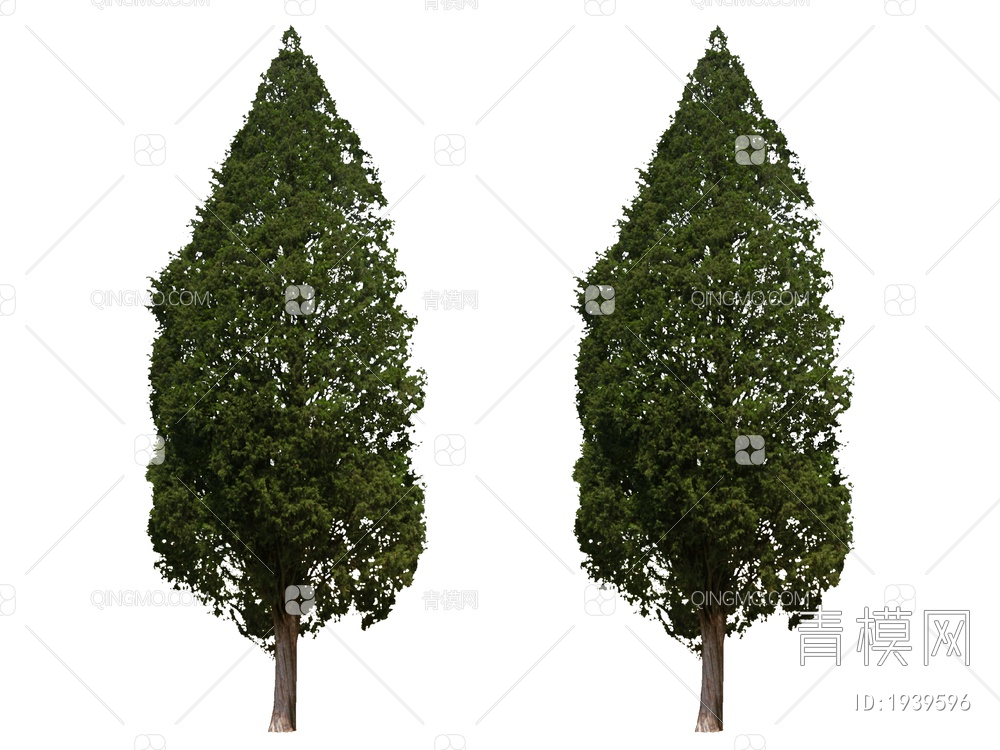 绿色植物 植物树SU模型下载【ID:1939596】
