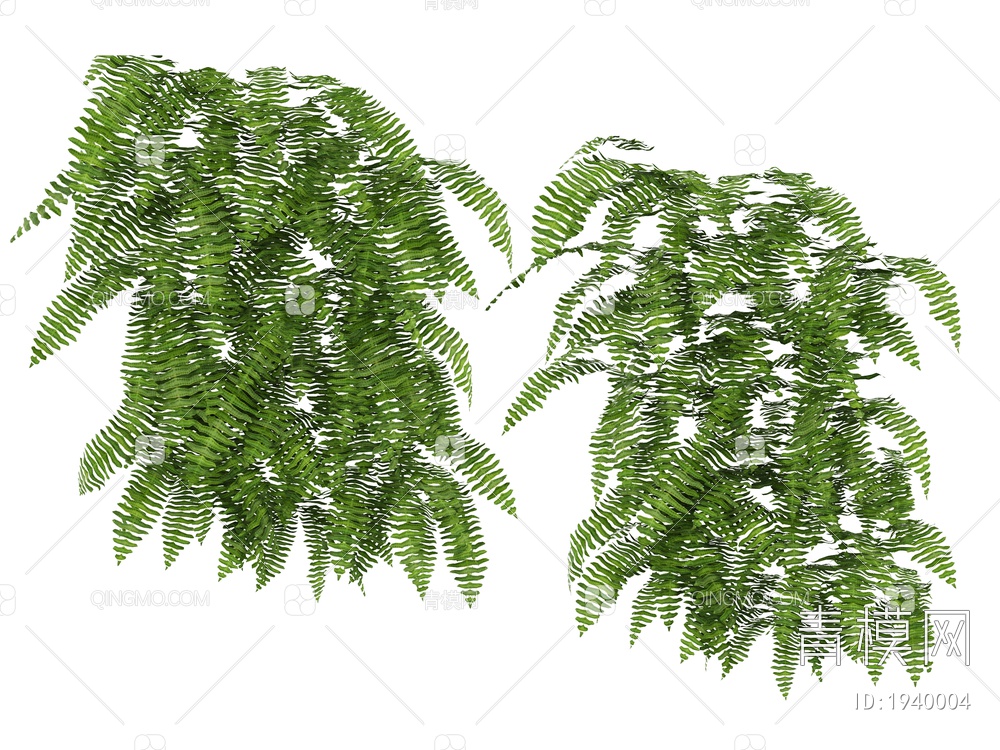 绿色植物 植物树叶3D模型下载【ID:1940004】