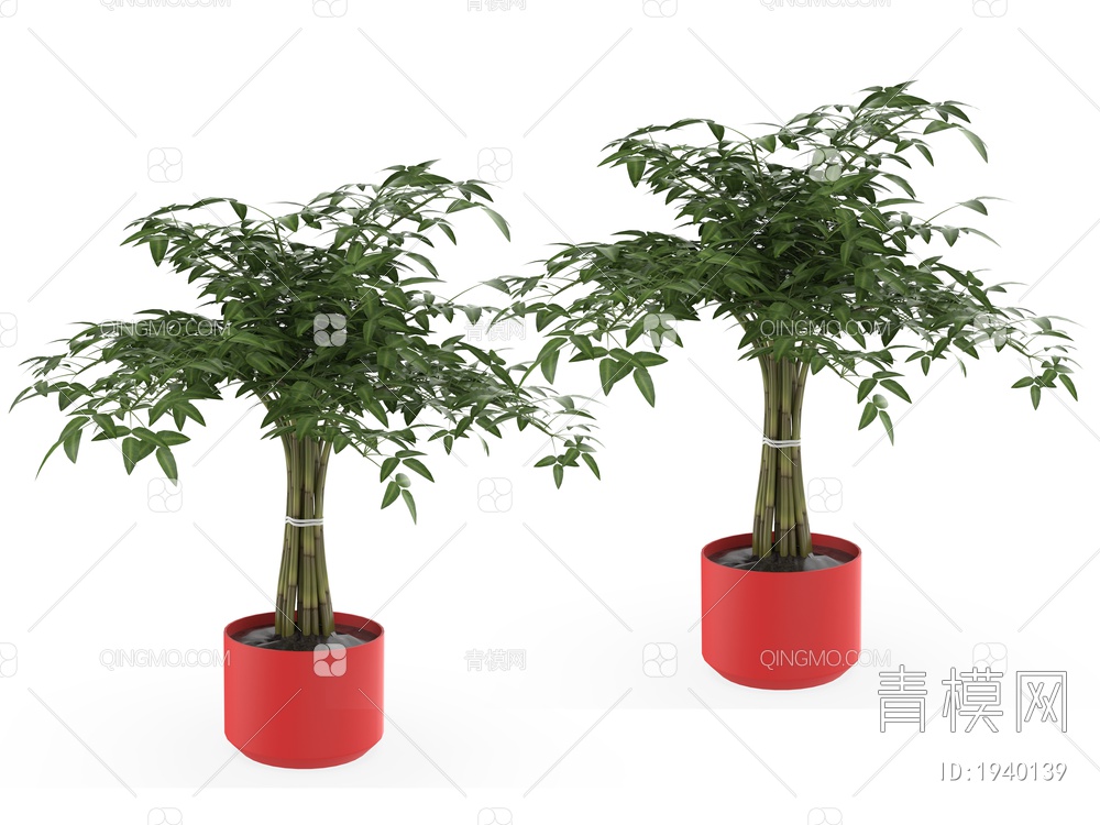 绿色植物 植物盆栽树3D模型下载【ID:1940139】