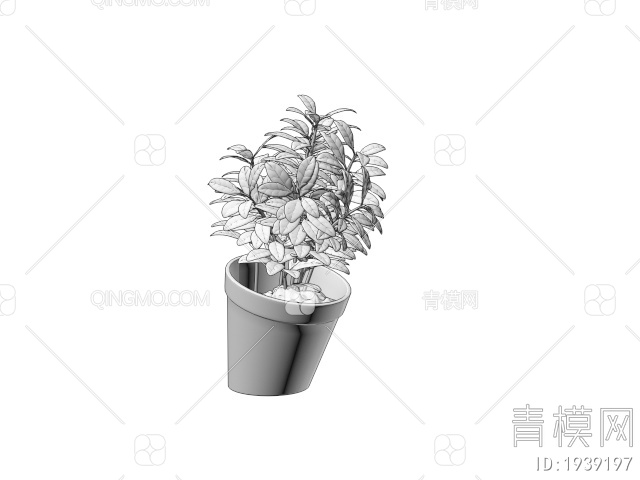 绿色植物 植物盆栽树3D模型下载【ID:1939197】