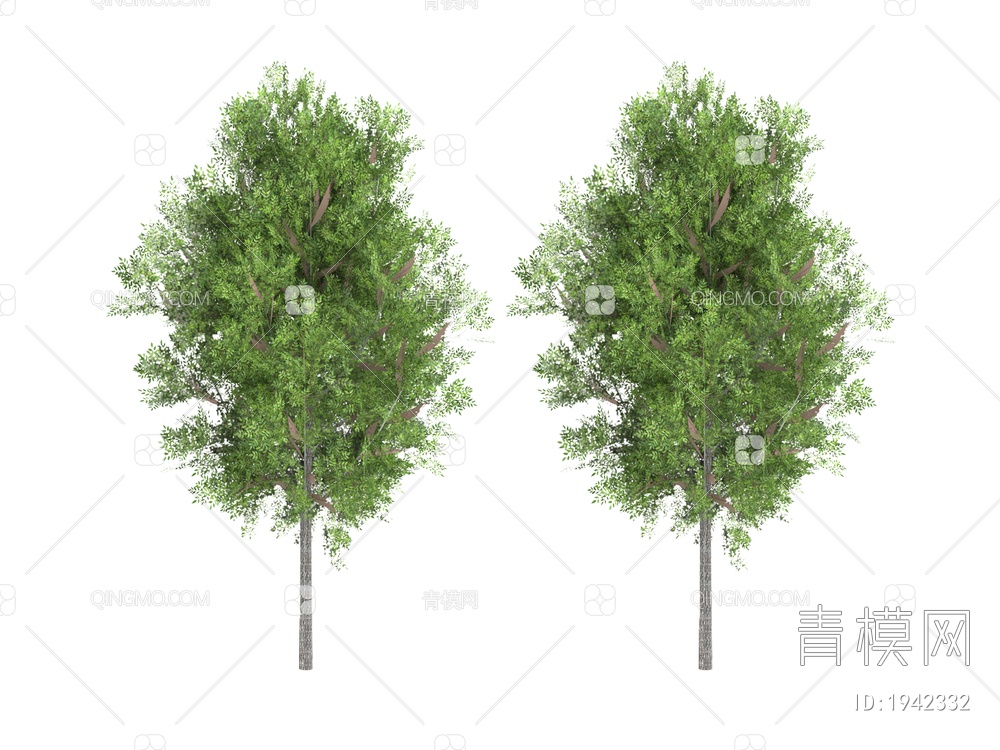 绿色植物 植物大树3D模型下载【ID:1942332】