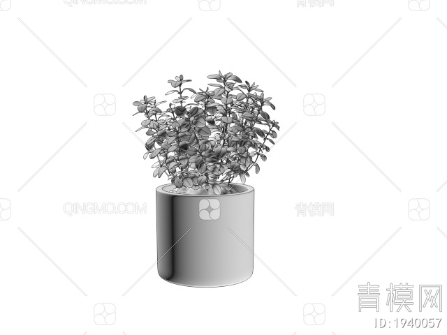绿色植物 盆栽植物树3D模型下载【ID:1940057】