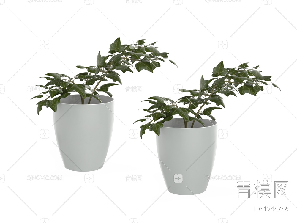 绿色植物 树枝植物盆景3D模型下载【ID:1944746】