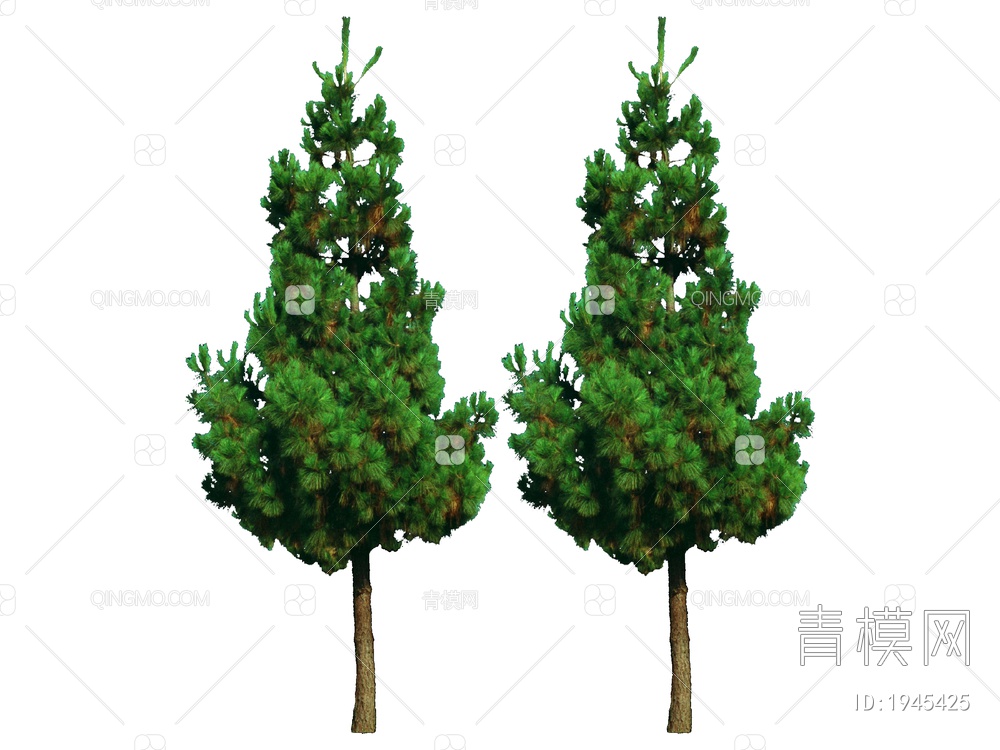 绿色植物 大树SU模型下载【ID:1945425】