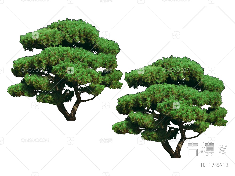 绿色植物 植物大树SU模型下载【ID:1945913】