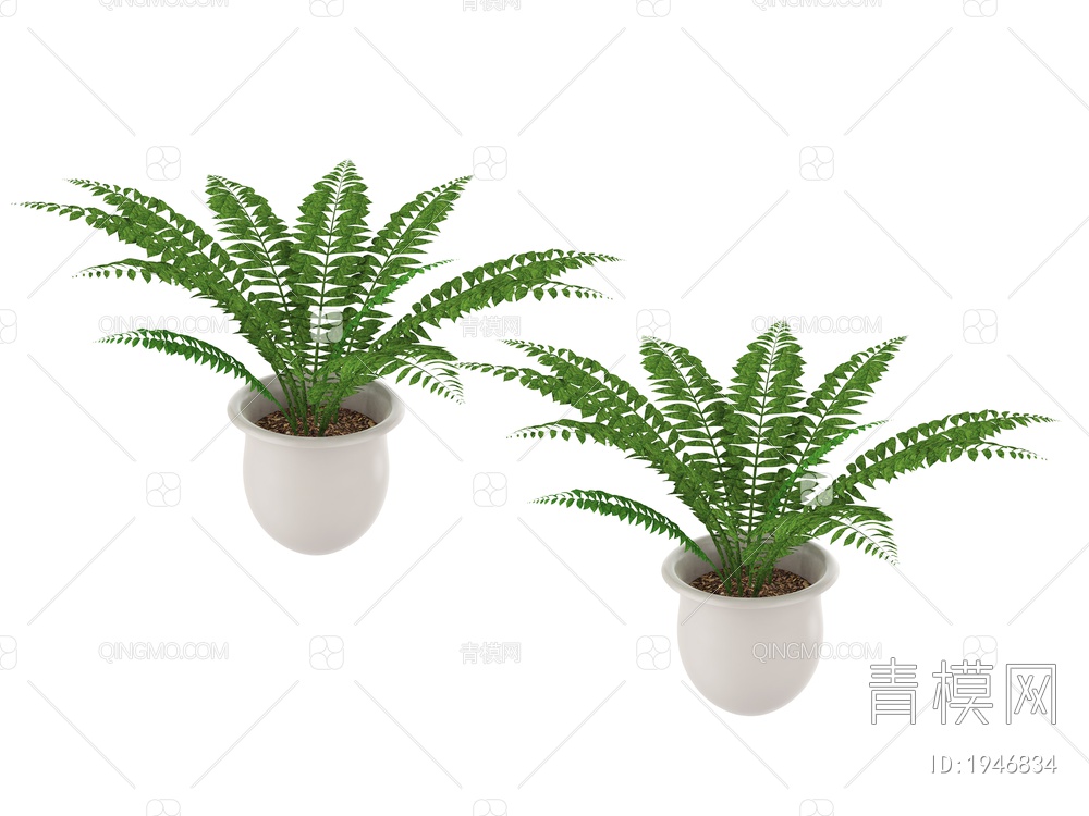 绿色植物 植物盆栽树3D模型下载【ID:1946834】