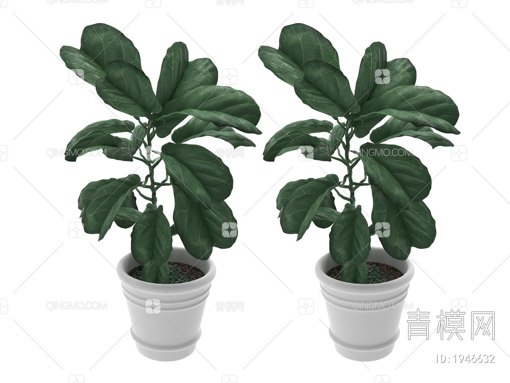 绿色植物 植物盆栽绿植3D模型下载【ID:1946632】