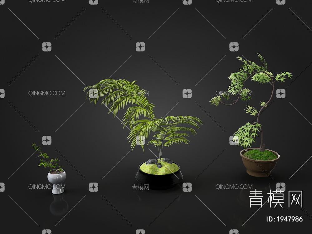 盆栽，蕨类植物，桌面盆栽，枫叶盆栽3D模型下载【ID:1947986】