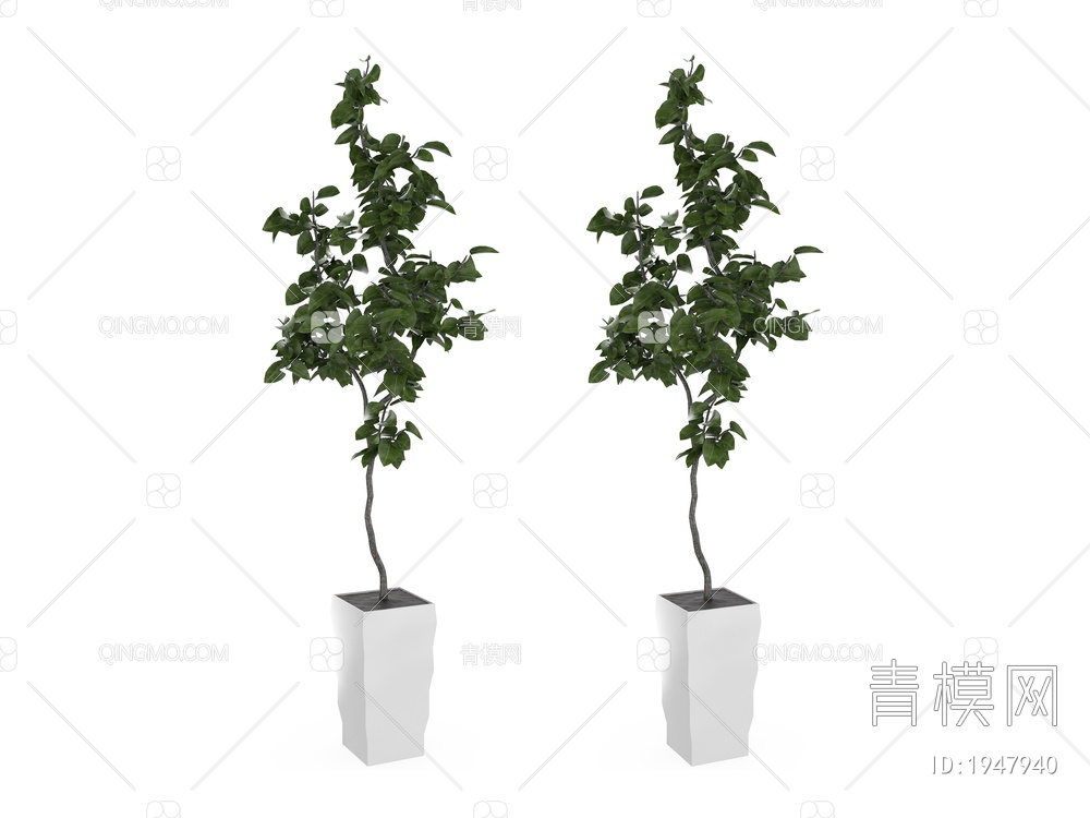 绿色植物 植物盆景 树3D模型下载【ID:1947940】