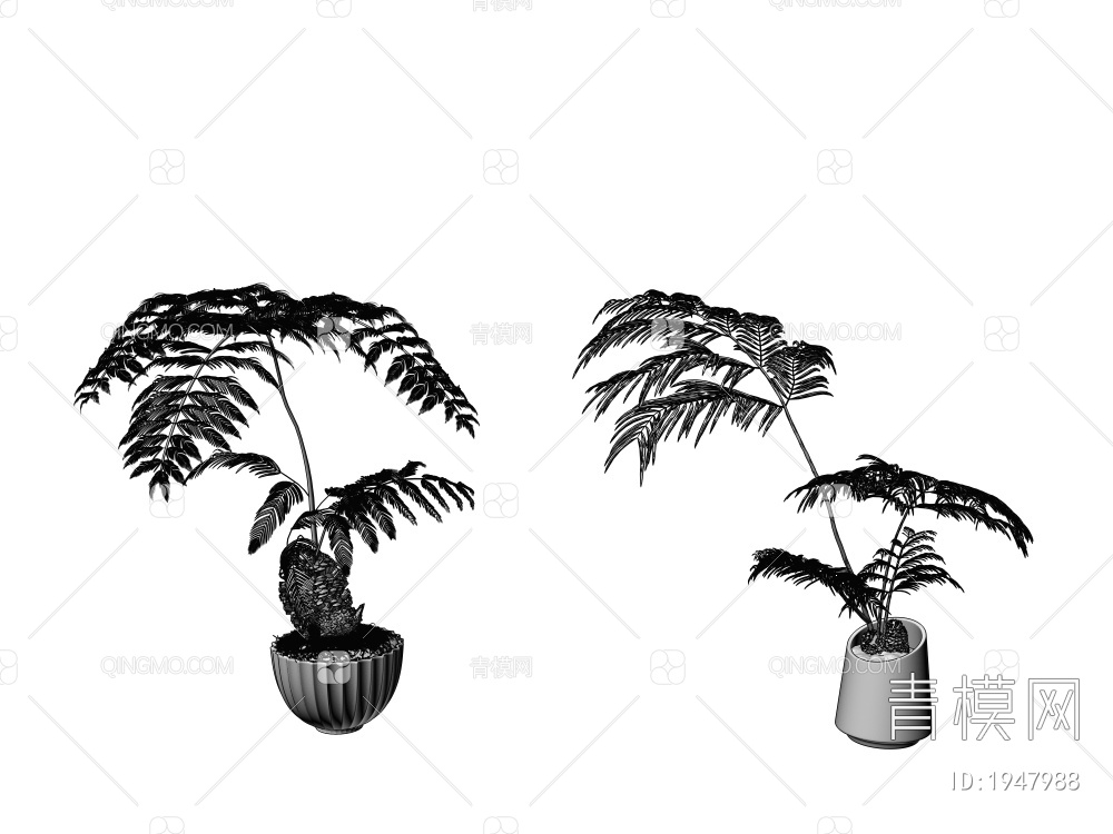 蕨类植物3D模型下载【ID:1947988】