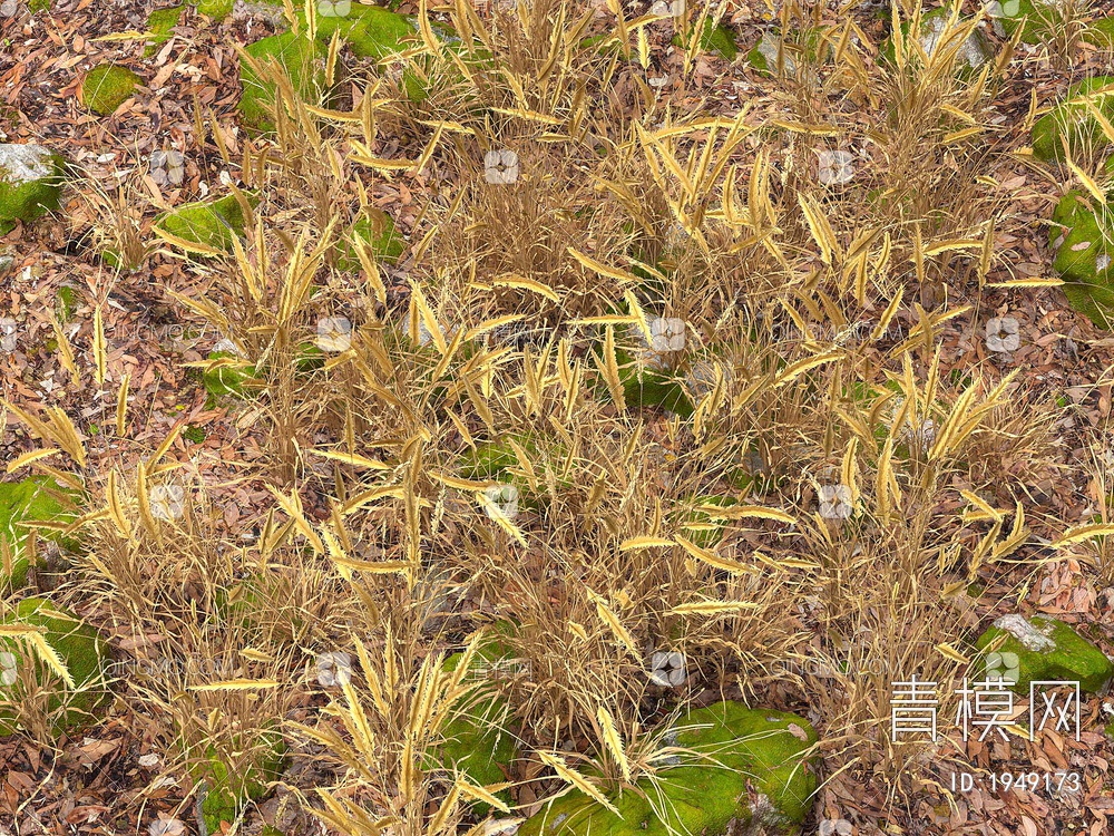 花草 花卉 草地 草坪3D模型下载【ID:1949173】