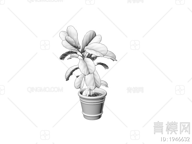 绿色植物 植物盆栽绿植3D模型下载【ID:1946632】