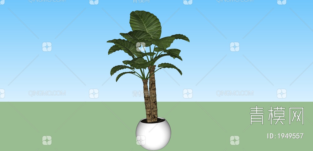 绿色植物 植物盆景树SU模型下载【ID:1949557】