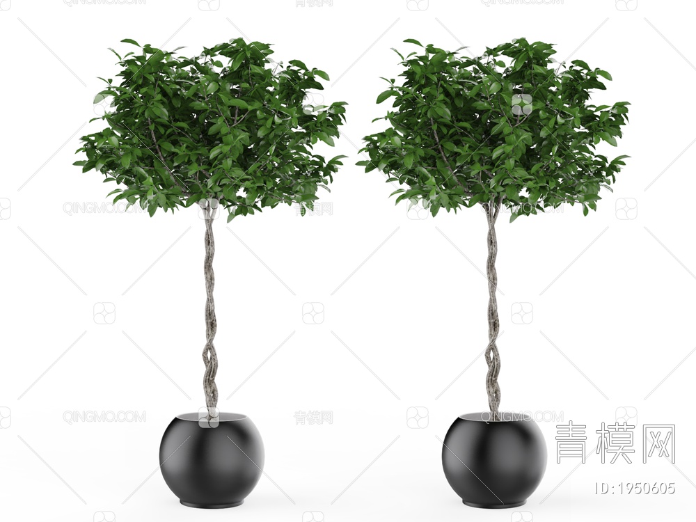 盆景 植物树 盆栽树3D模型下载【ID:1950605】