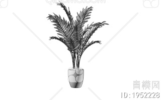 盆栽 植物树3D模型下载【ID:1952228】