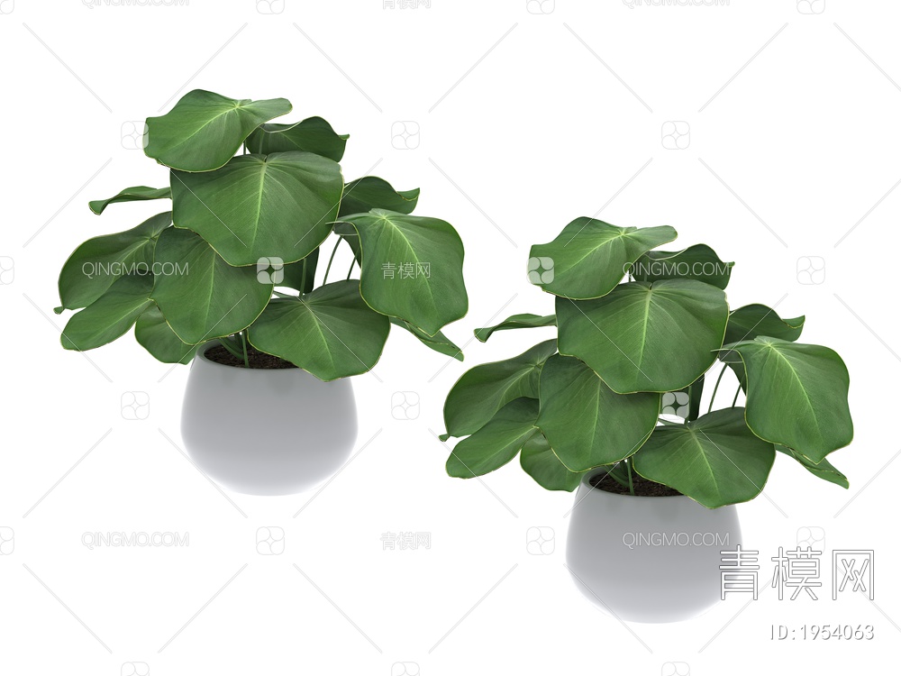 绿色植物 盆景植物SU模型下载【ID:1954063】