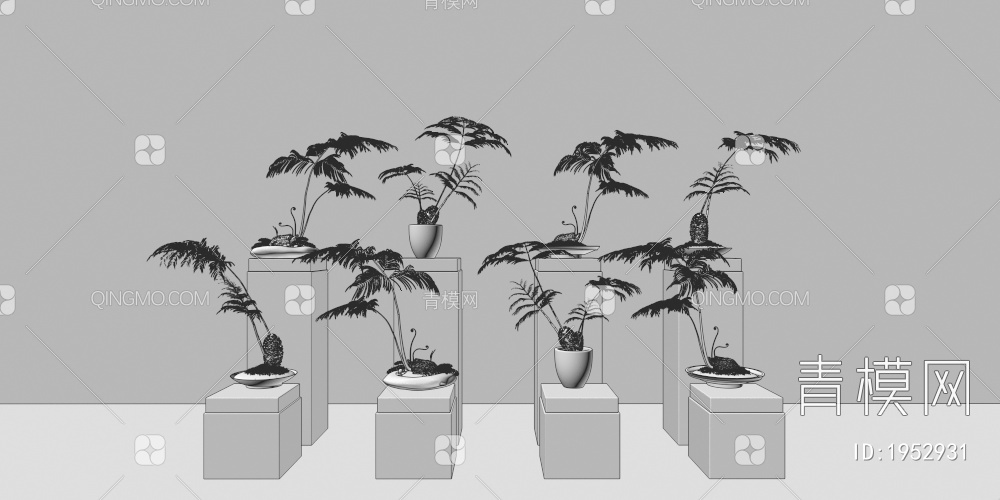 蕨类盆景 蕨类绿植盆栽盆景组合 蕨类植物 盆栽摆件 绿植 盆景 盆景(2018)3D模型下载【ID:1952931】
