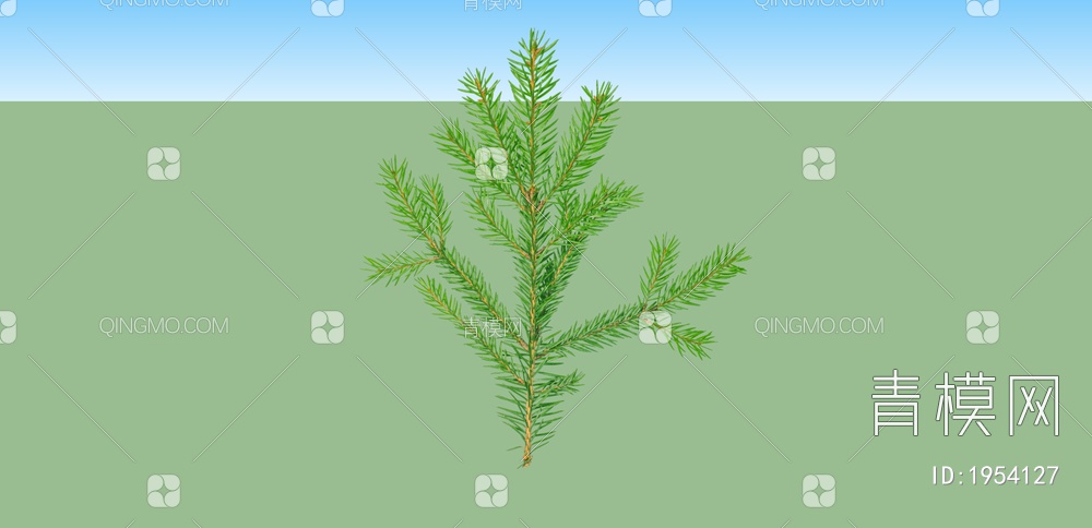 绿色植物 植物树SU模型下载【ID:1954127】