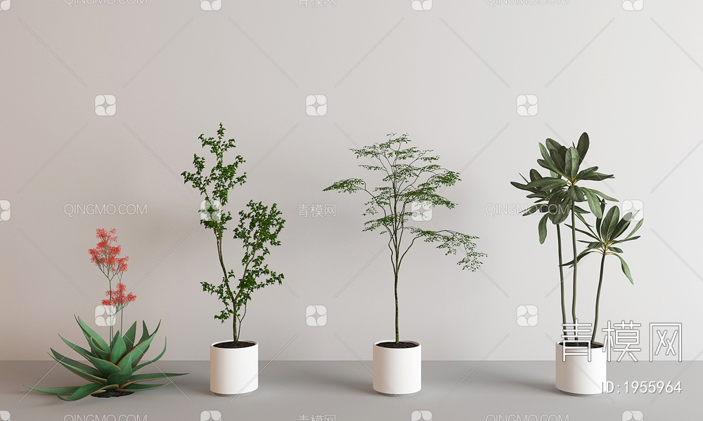 盆栽，绿植3D模型下载【ID:1955964】