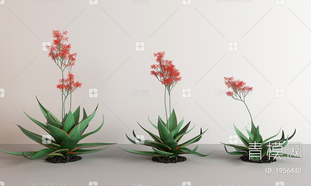 植物，花SU模型下载【ID:1956440】