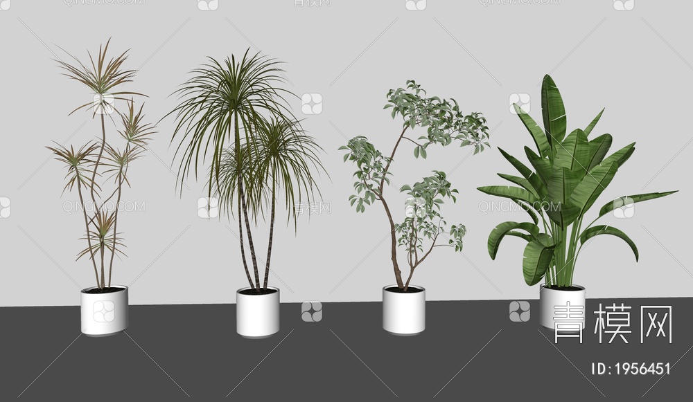 盆栽，绿植SU模型下载【ID:1956451】