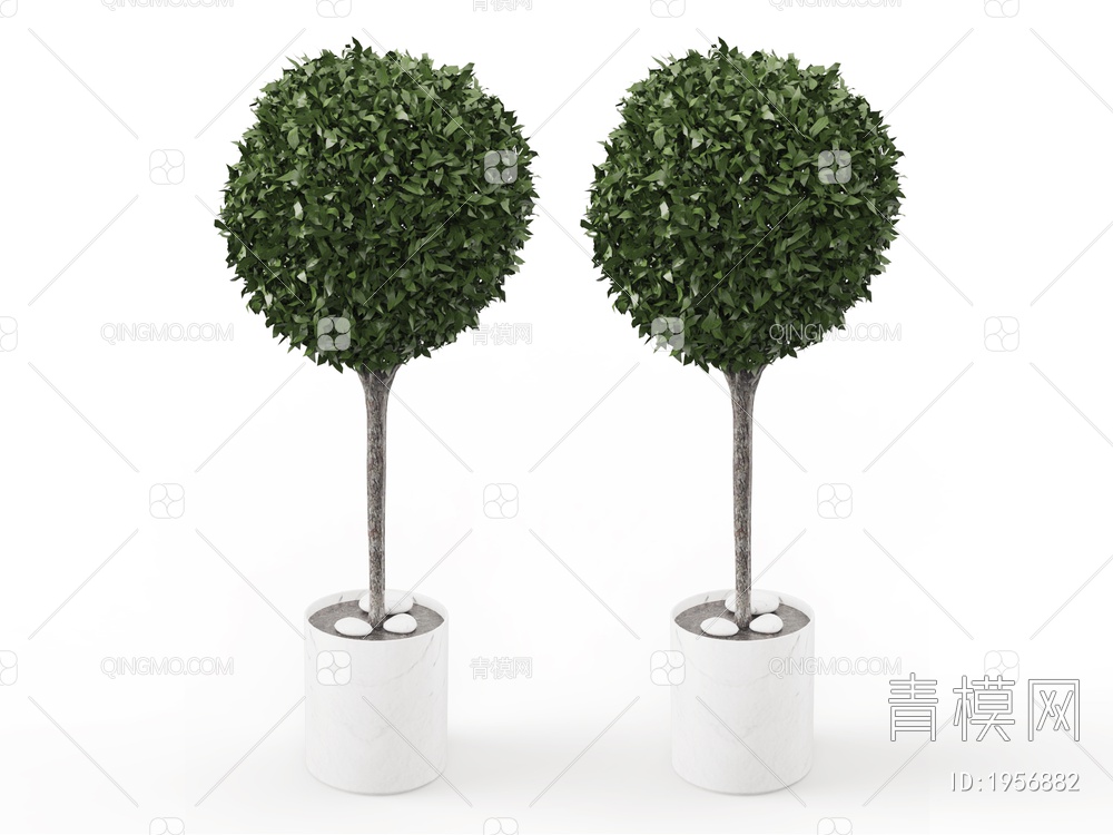 绿色植物 盆景植物树SU模型下载【ID:1956882】