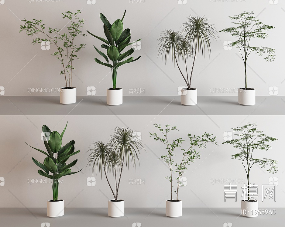 盆栽，绿植3D模型下载【ID:1955960】