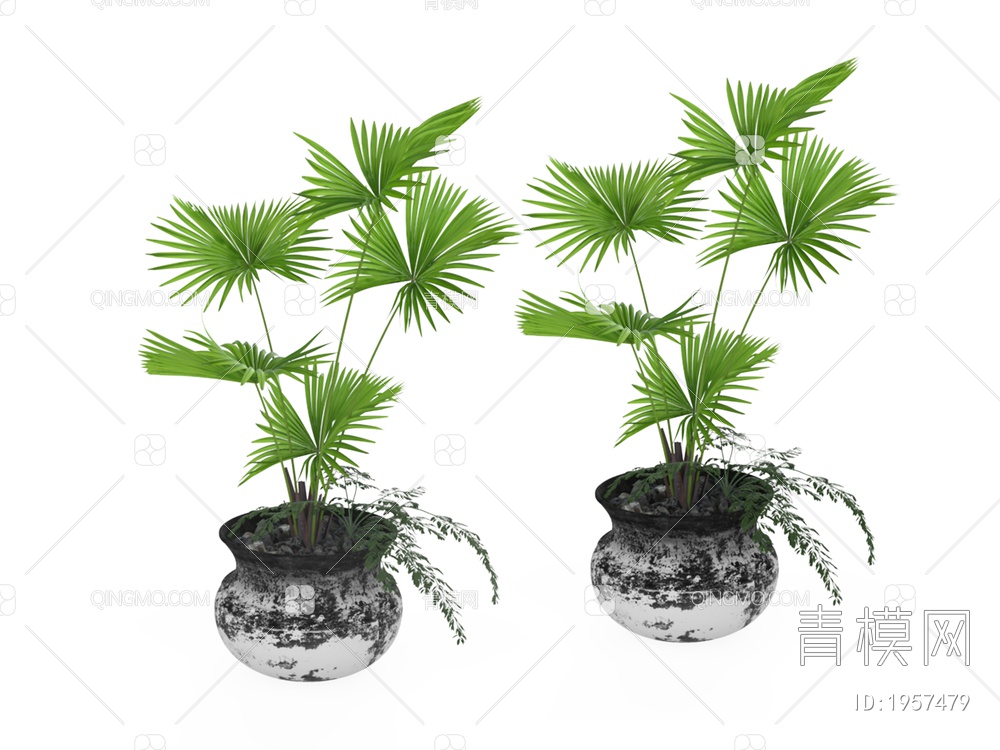 绿色植物 竹子盆景SU模型下载【ID:1957479】