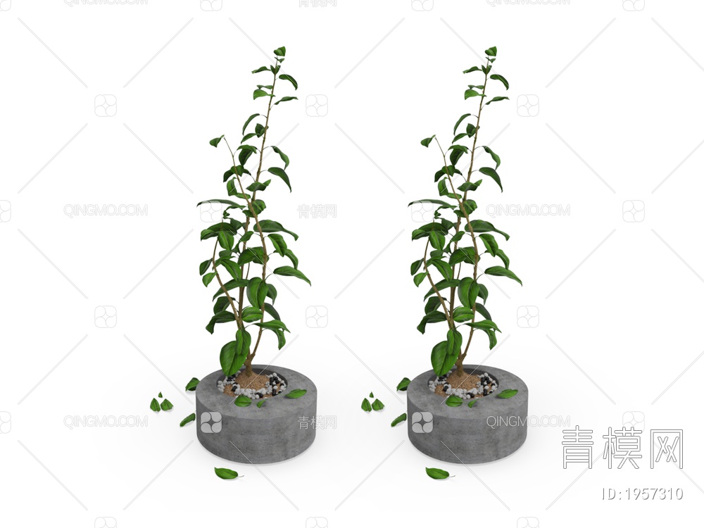 绿色植物 绿色盆景植物3D模型下载【ID:1957310】