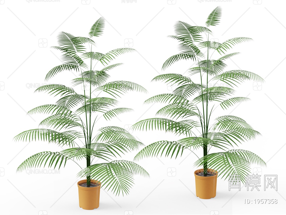 绿色植物 绿色植物盆栽竹子3D模型下载【ID:1957358】