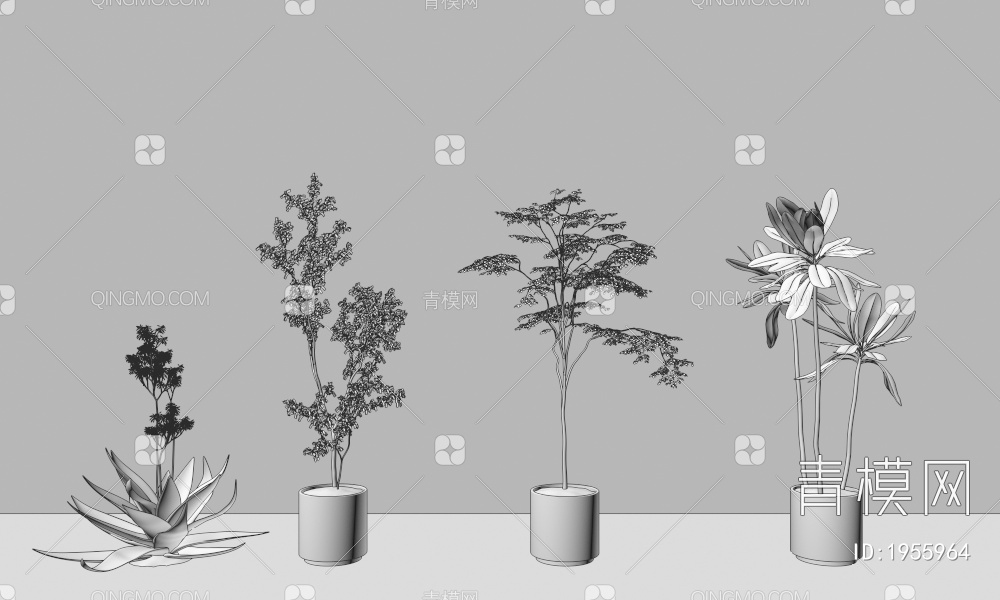 盆栽，绿植3D模型下载【ID:1955964】