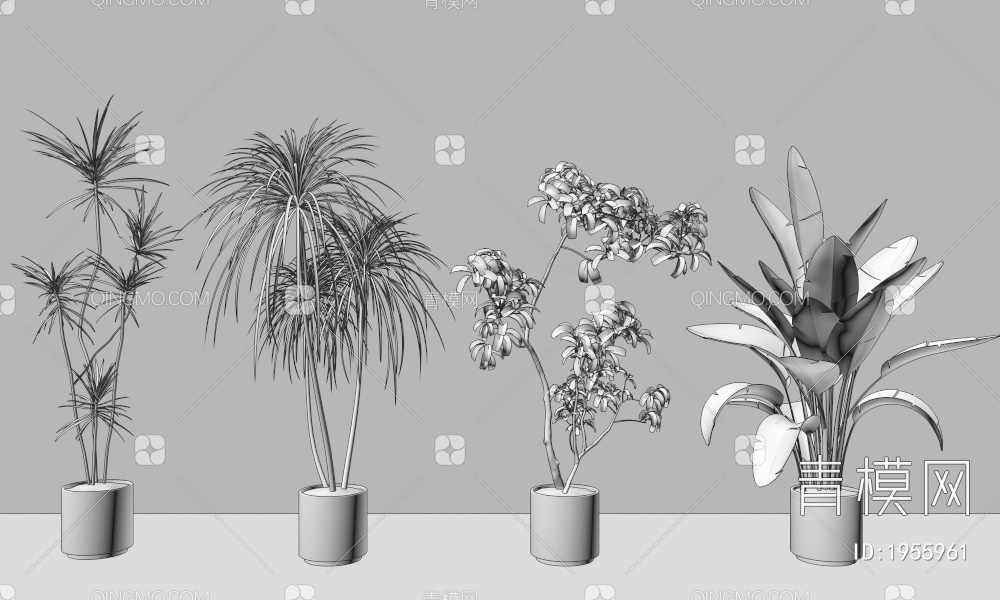 盆栽，绿植3D模型下载【ID:1955961】